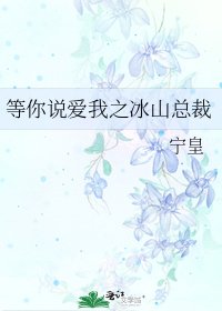 《等你说爱我之冰山总裁》