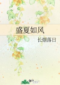 盛夏如风