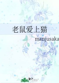 老鼠爱上猫