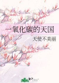 一氧化碳的天国