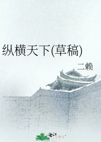 纵横天下(草稿)
