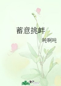蓄意挑衅