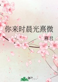 你来时晨光熹微