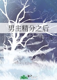 《男主精分之后》