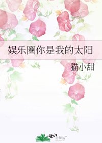 《娱乐圈你是我的太阳》