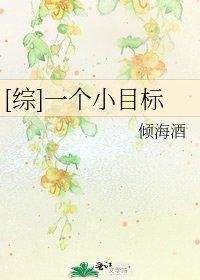 [综]一个小目标