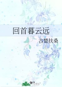 回首暮云远