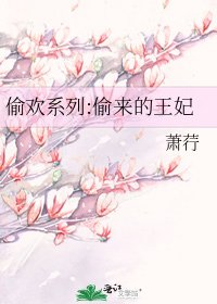 偷欢系列:偷来的王妃