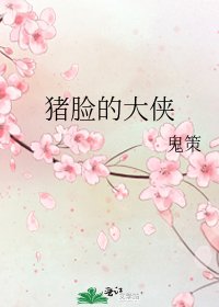 猪脸的大侠