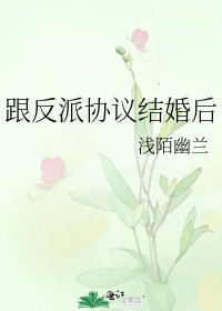 跟反派协议结婚后