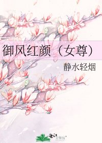 御风红颜（女尊）