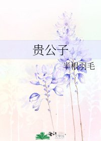 贵公子