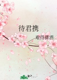 《待君携》