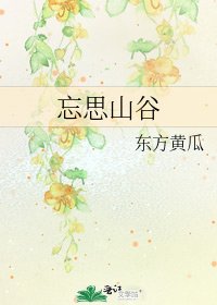 忘思山谷