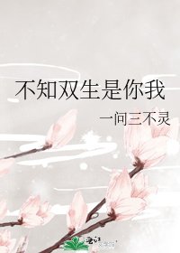 不知双生是你我