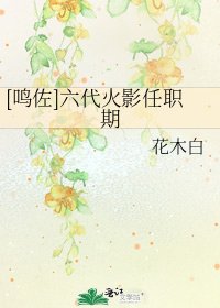 [鸣佐]六代火影任职期