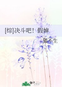 [综]决斗吧！假婶