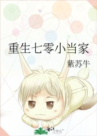 重生七零小当家