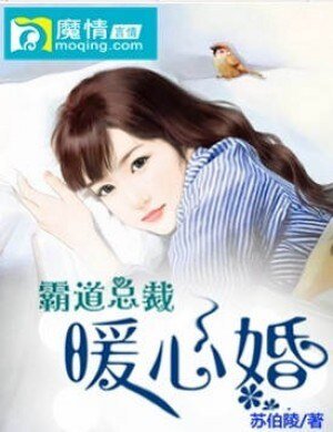 霸道总裁暖心婚/闪婚总裁甜甜宠