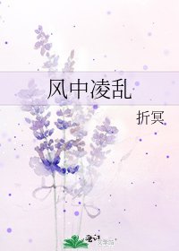 《风中凌乱》