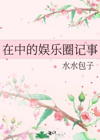 在中的娱乐圈记事