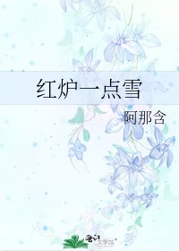 红炉一点雪