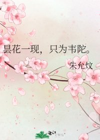 昙花一现，只为韦陀。