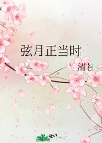 弦月正当时