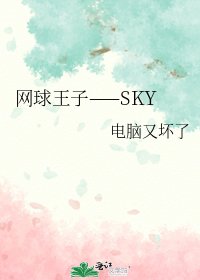 网球王子——SKY