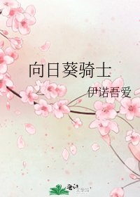 《向日葵骑士》