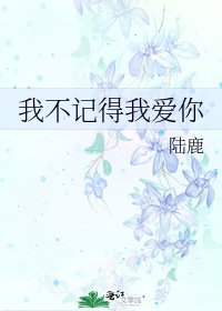 我不记得我爱你