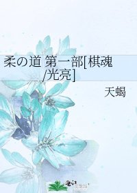 柔の道 第一部[棋魂/光亮]