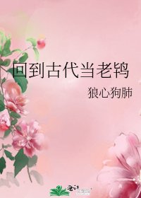 《回到古代当老鸨》