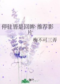 停驻皆是回眸·推荐影片