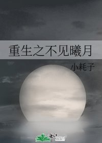 《重生之不见曦月》