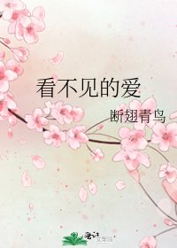 看不见的爱