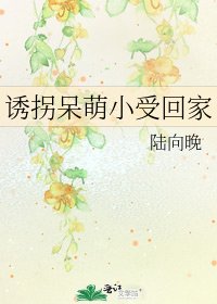诱拐呆萌小受回家