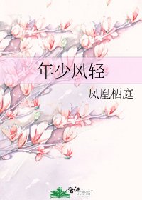 年少风轻