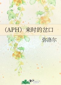 （APH）来时的岔口