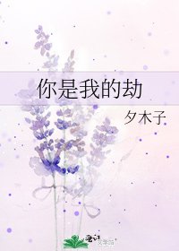 你是我的劫