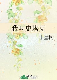 《我叫史塔克》