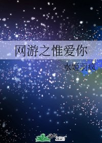网游之惟爱你