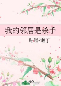 我的邻居是杀手