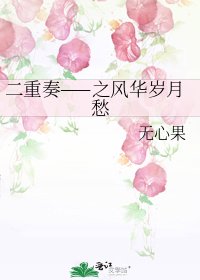 二重奏——之风华岁月愁