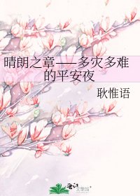 晴朗之章——多灾多难的平安夜