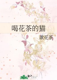 喝花茶的猫