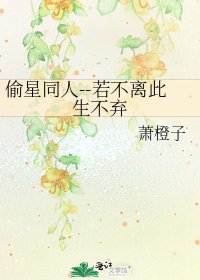 偷星同人--若不离此生不弃