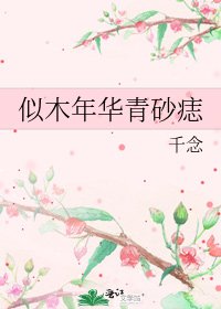 《似木年华青砂痣》