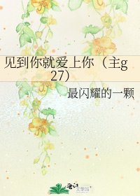 见到你就爱上你（主g27）