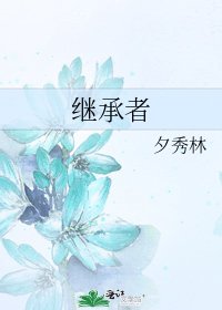 继承者